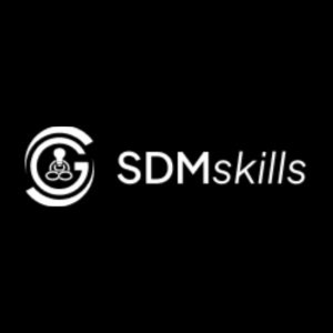 SDMskills digital marketing institute in Hisar Company logo